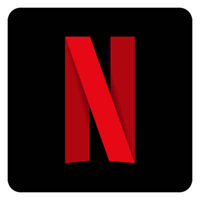 FlexiCam Netflix Video Downloader Crack (2)